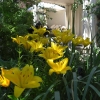 Rideau Gardens Calgary