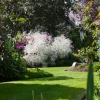 Rideau Gardens Calgary