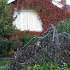 Front-Porch