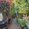 Rear-Walk-South