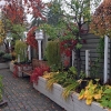 Rear-Walk-Wall