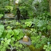 Horticultural Society
