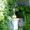 Calgary Horticultural Society