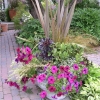 Rideau Gardens Calgary