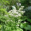 Rideau Gardens Calgary