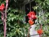 Rideau Gardens Calgary