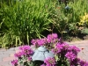 Rideau Gardens Calgary