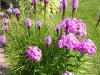 Rideau Gardens Calgary