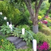 Center-Bed-West