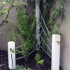 Corner