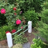 Front-Bed-Path