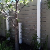 Rear-Wall-1