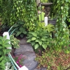 SW-Bath-Front-Path