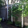 Torch-Trellis-1
