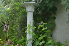 For the Birds