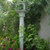 Backyard-1