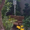 Backyard-2