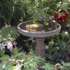 Backyard-Bath