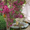 Bronze-Birdbath-Backyard