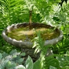 Front-South-Yard-Birdbath