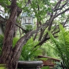 Front-Walk