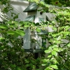 North-Walway-Birdhouse