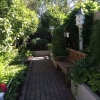 Rear-Walk