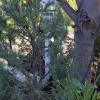 South-Driveway-1