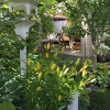 Backyard-Cabana