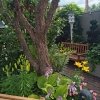 Backyard-North-1