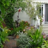 Backyard-Walkway-Pots