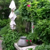 Backyard-Wall
