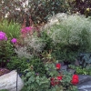 Front-Center-Bed-East