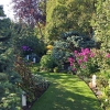 Front-Center-North-Turf-Path