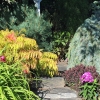 Front-North-Yard-1