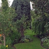 Front-South-Center-Turf-Path-1