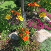 Front-Southwest-Corner-Bed-Summer