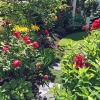 Front-Step-Path