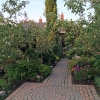 Front-Walk-Autumn-1