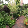Front-Walk-Left-Early-Summer