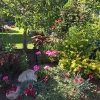 Front-Walk-North-Bed