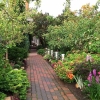 Front-Walk-Right-Early-Summer