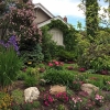 Frontyard-Spring