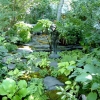 North-Pond