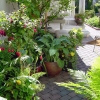 North-Walkway-Pots