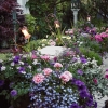 Rear-Deck-Potted-South