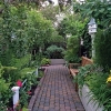 Rear-Walk-North