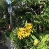 2016-29