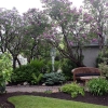 100Yr-Lilac-Pair-1