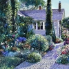 morning garden 30x40